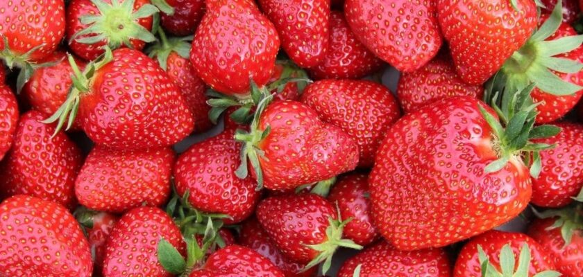 Chandler Strawberries